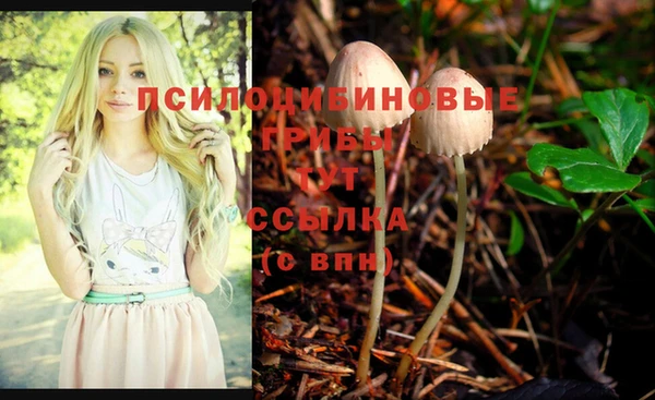 МДМА Лиски