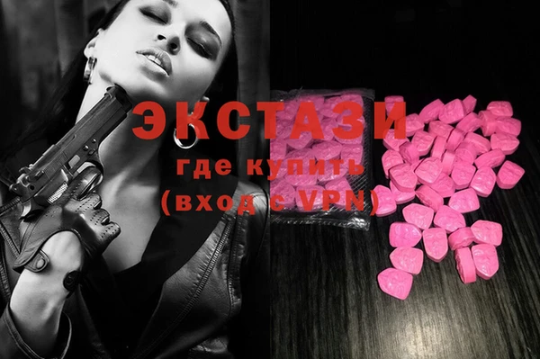 крисы Магас